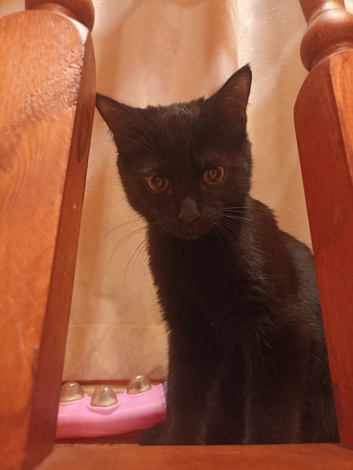 � ��� � ������(�� ������� ������)���� ����� ������� ����!