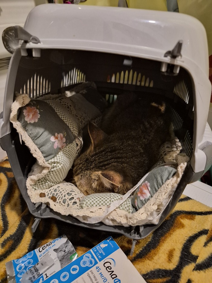 ������������, ��� ������� ���� � ���������