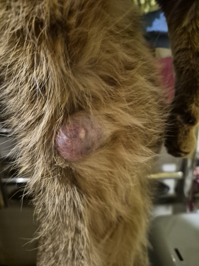 �� ������ ������� �����, ���������������