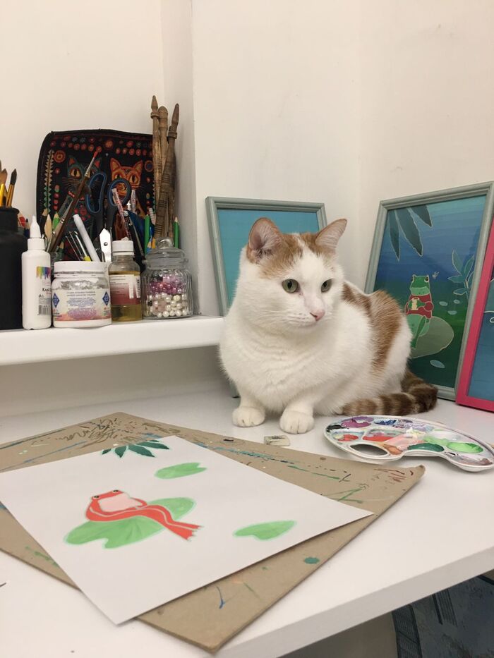 24/7 �������� ����������� ��������