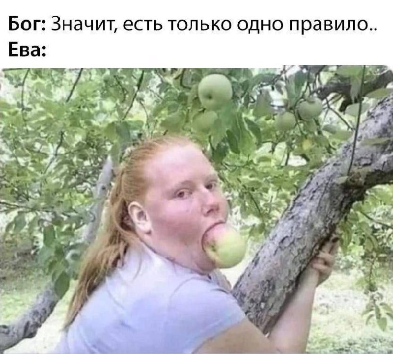 Умение смеяться над собой - это не талант комика, а навык взрослого человека, который перестал воспринимать себя как хрустальную вазу - Кросспостинг, Pikabu publish bot, Психология, Психолог