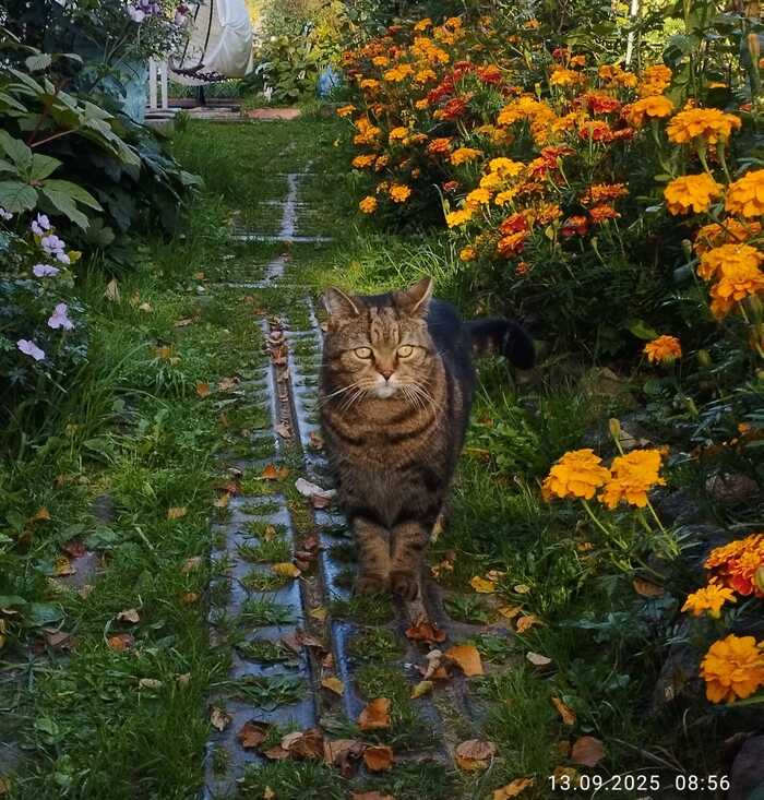 �������