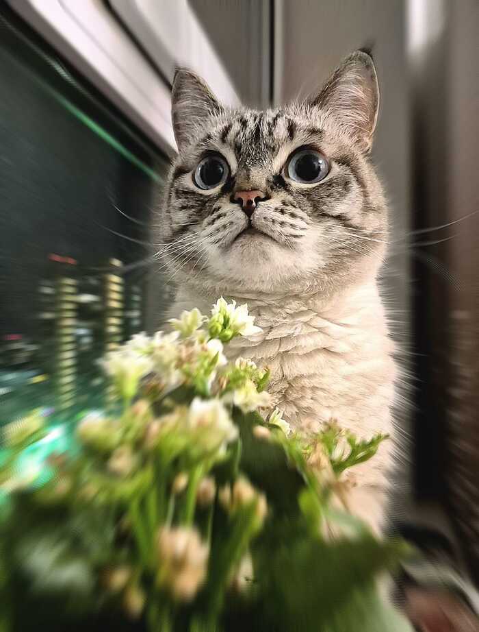 ��� ������ ���������� ����!