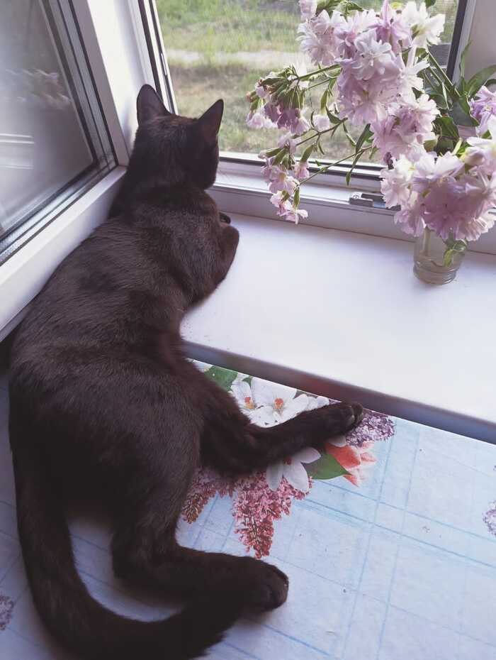 ��� ��� ��� 🖤 ���������� �� ���������� 😢