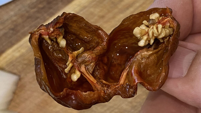 �������� ������...