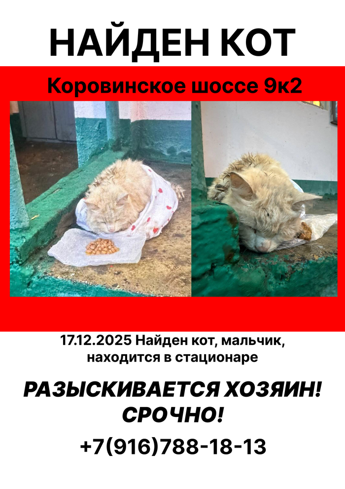 ������, ��������, ������ ���, ���� ������!