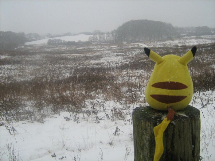 ����� �� ���� ������ ����� ��������...�