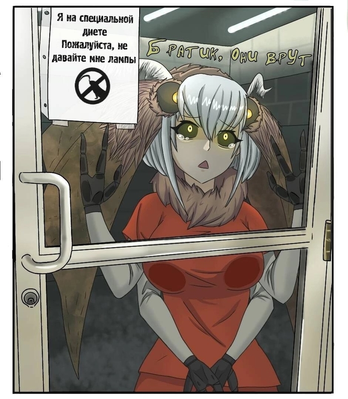 �� �����