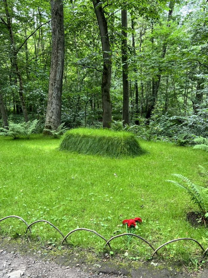 Ясная поляна