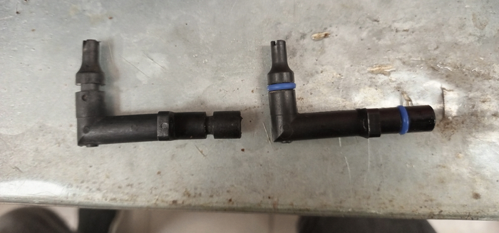 ����� ������, ������ �����