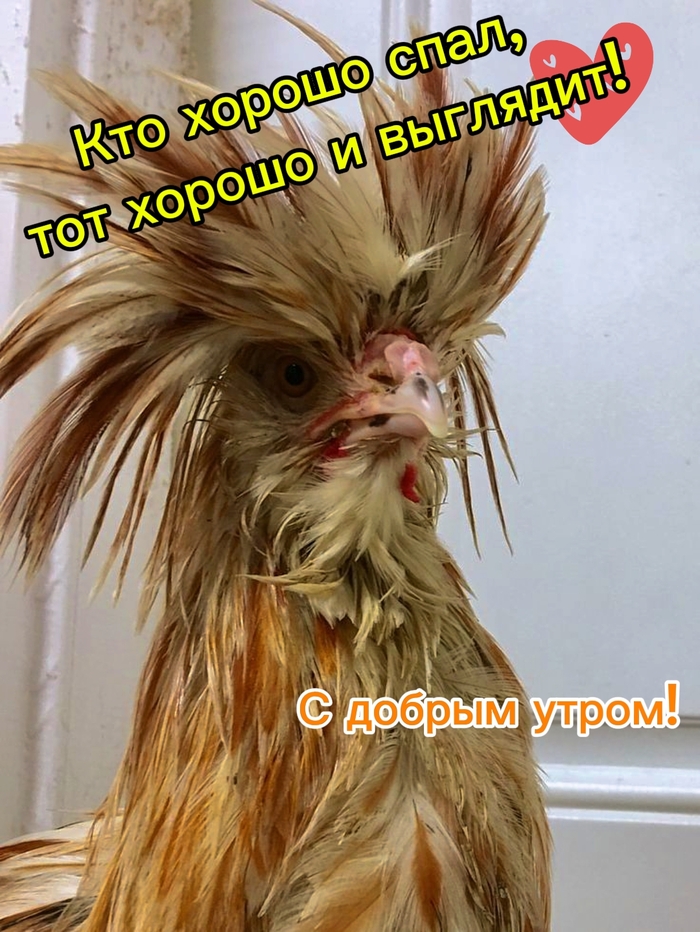 Вы тоже прекрасно выглядите с утра?