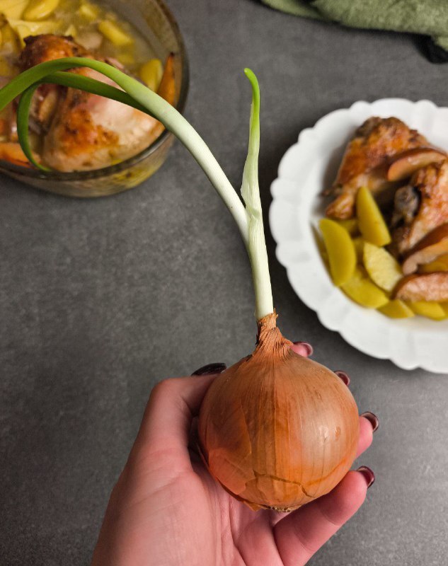 ���� �� ������: ������ ����������� ����� �� 268 ���