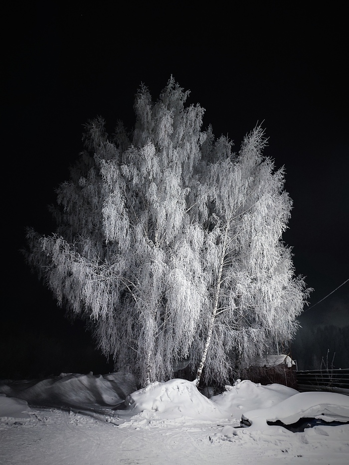 ��� ������ ����