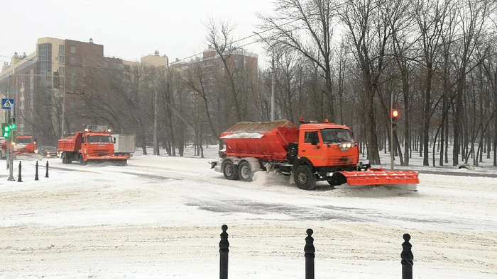 ����: ������ ������