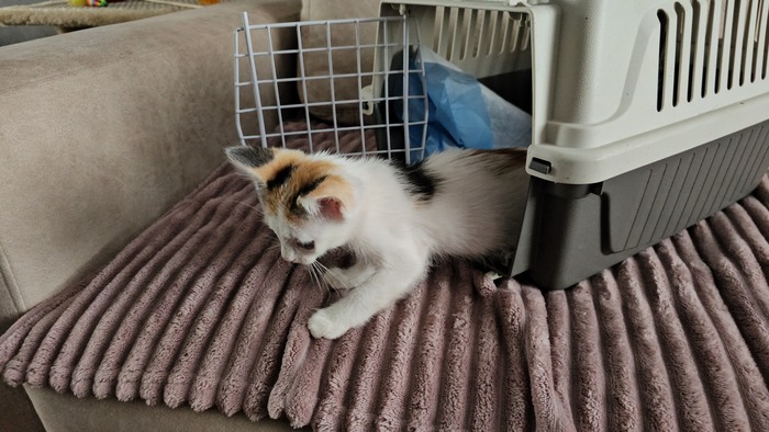 �������� ����� �� ���������. ���� �������������!