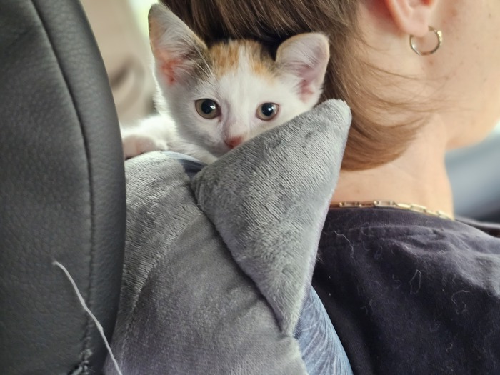 ������� ���� �����. ���� ������ �� �� ��������� ��������, �� ����������� ����� �� ��� 😄