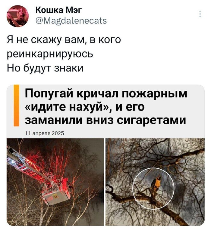 ���������)