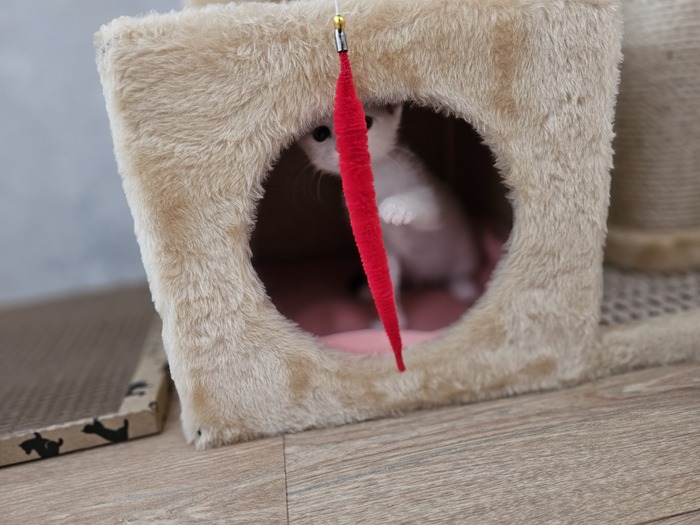 ������ ��� � �� ������.