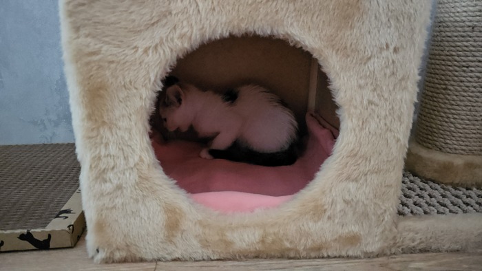 ������� �������� � ����� �����! � ������� �����. � ���� ������� �� ���� �� ���� ��� ��� ���� ��������� ���� ����� ���� ����.