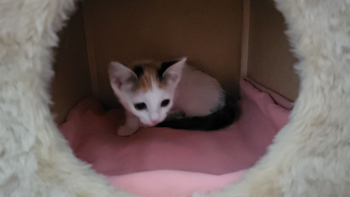 ��� � ��������� � ������ ��� �������!