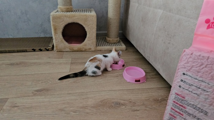 ��� ��� ��� ������!