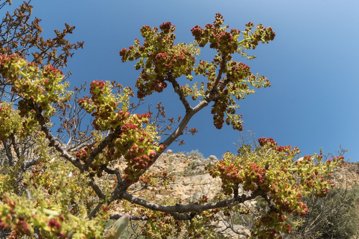 ������ �� ��������.