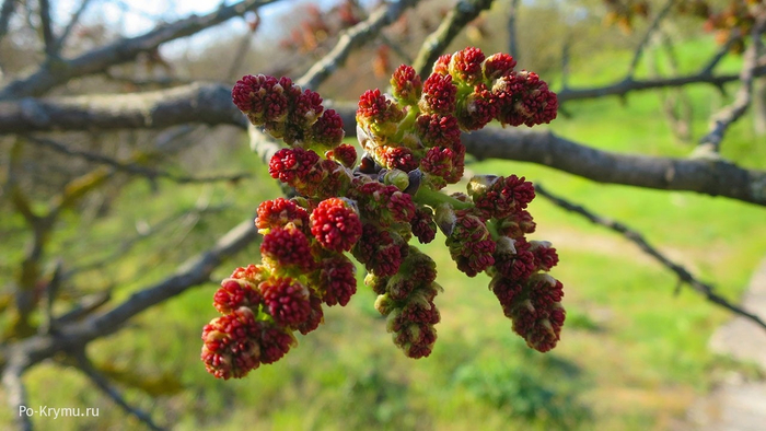 ����� ������ �� ����� � ����� ��������� � ������� �������.