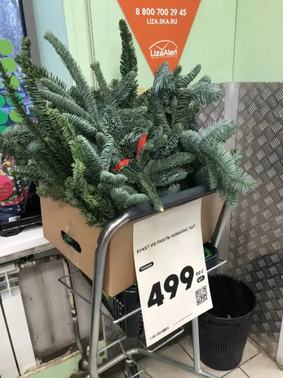 Дорого или нет?