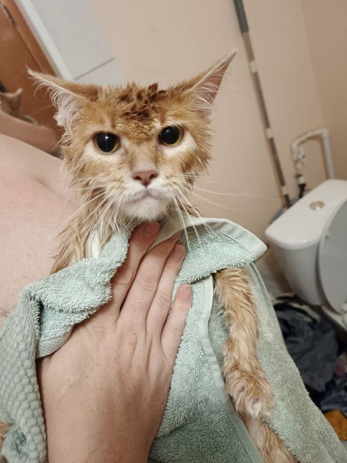 �� ������ ���� ����� � 2025 ����