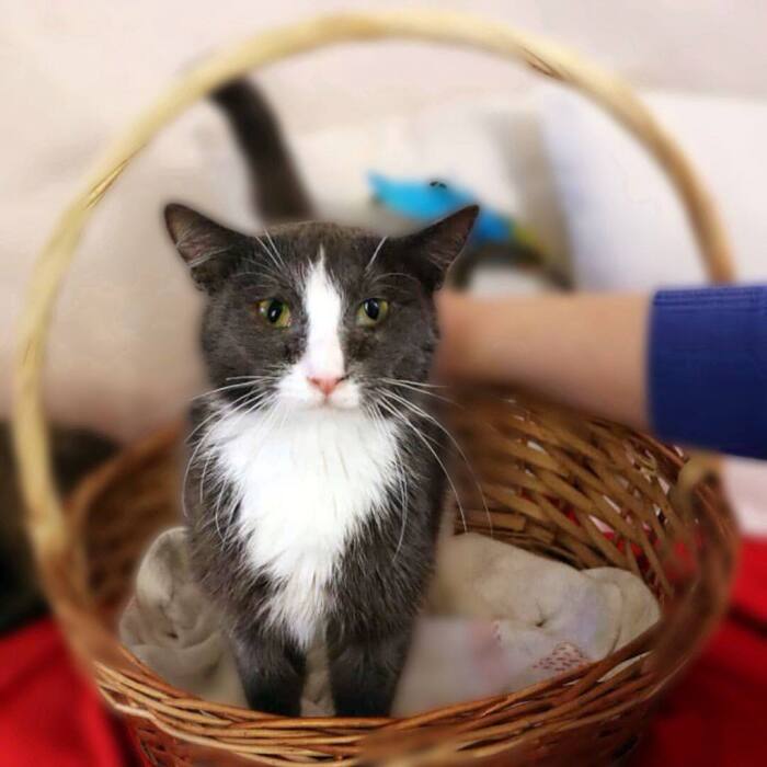 ����� � ������... ��� � ������ ��� ������� ��������...