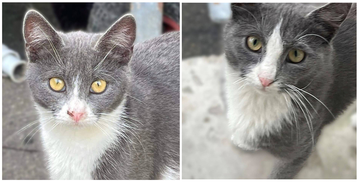 ����� � ������... ��� � ������ ��� ������� ��������...