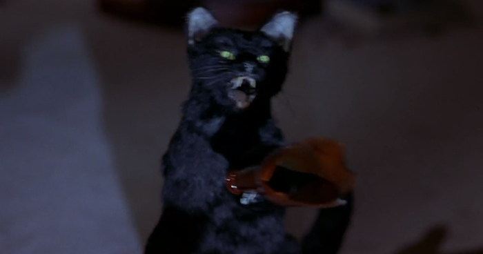 ��� ������ ���������� ����