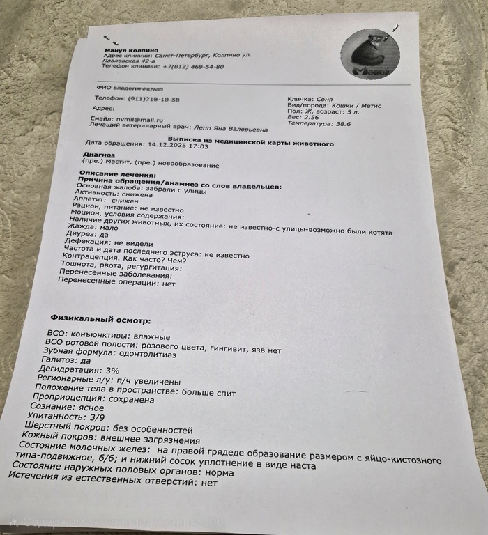 ��������� ���������� ������