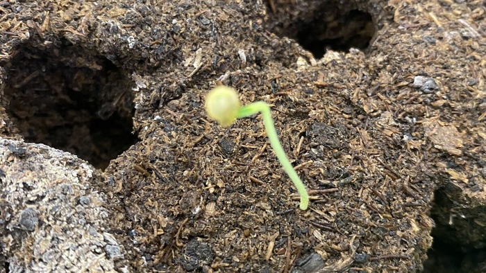 "�� ���� � ������ ��� �����?"