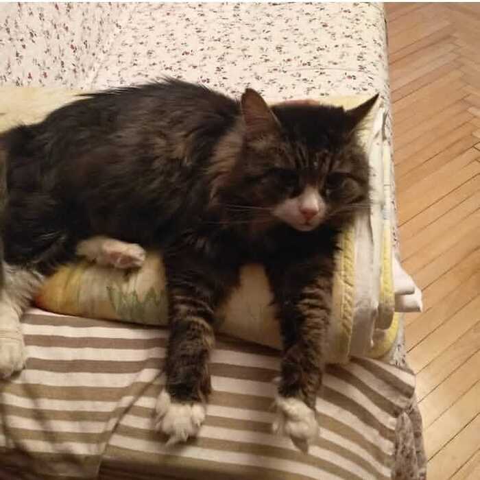 ���� �������...