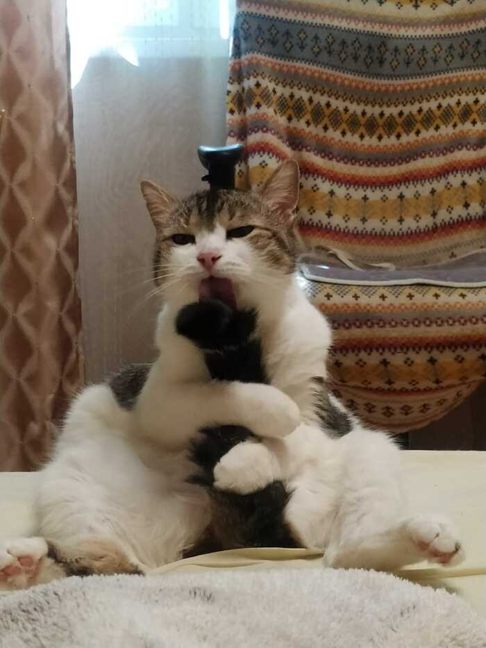 ��, ��� ����� (�������, ���������, ����, ������ �����, ������)