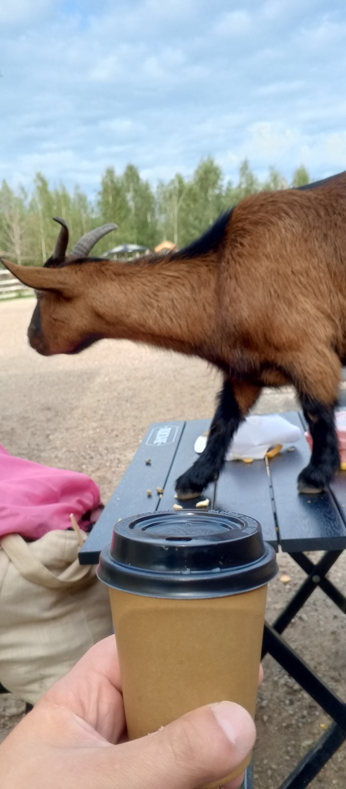 ������ ���������� ���� �����