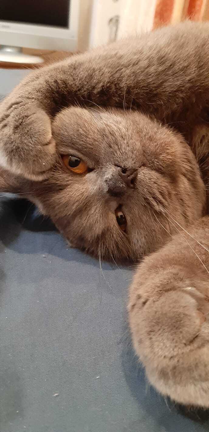 ����� �� ���� ���� ������ ���������� ����