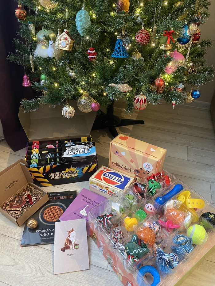 ���� ������� ������� �����. �������� � ������� ��������� ��� ����� ��� 6 ��� � ������� ������ ��� ���������� ����� ������� ,������ ��� ������ ��� ���� ��� ����������� . ���� �������� �������� ������� ����������� �� ���������� ����������. 