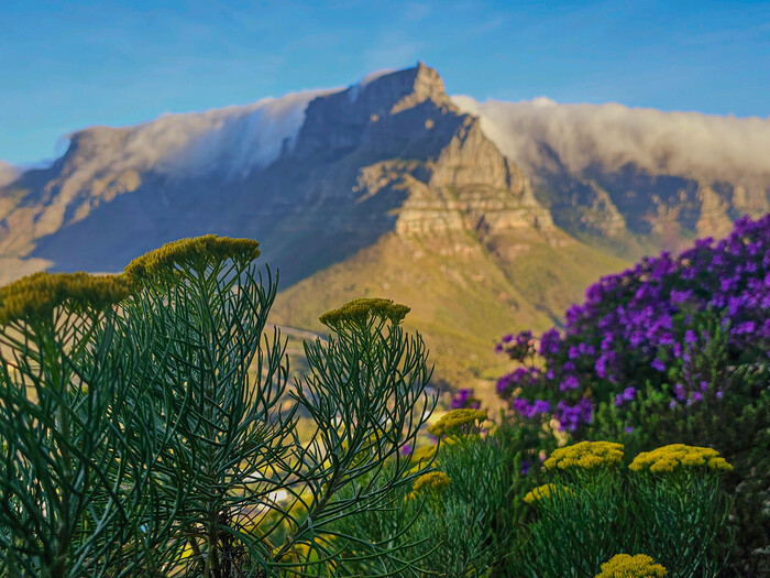 �������� ���� � ���������