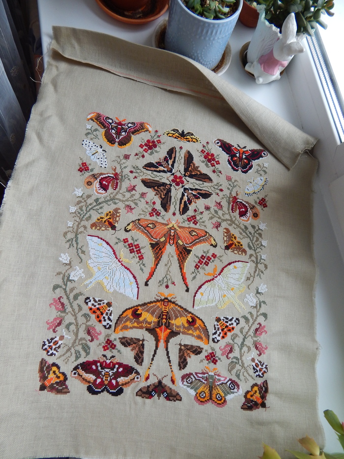 "����� ���������". ��� �� ��������, �������� �������� � ������ ����� � "������ �������".