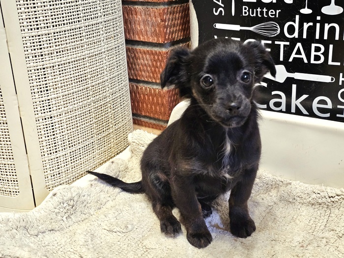 ��� �������, �����. ����� ��� ��� �������� .