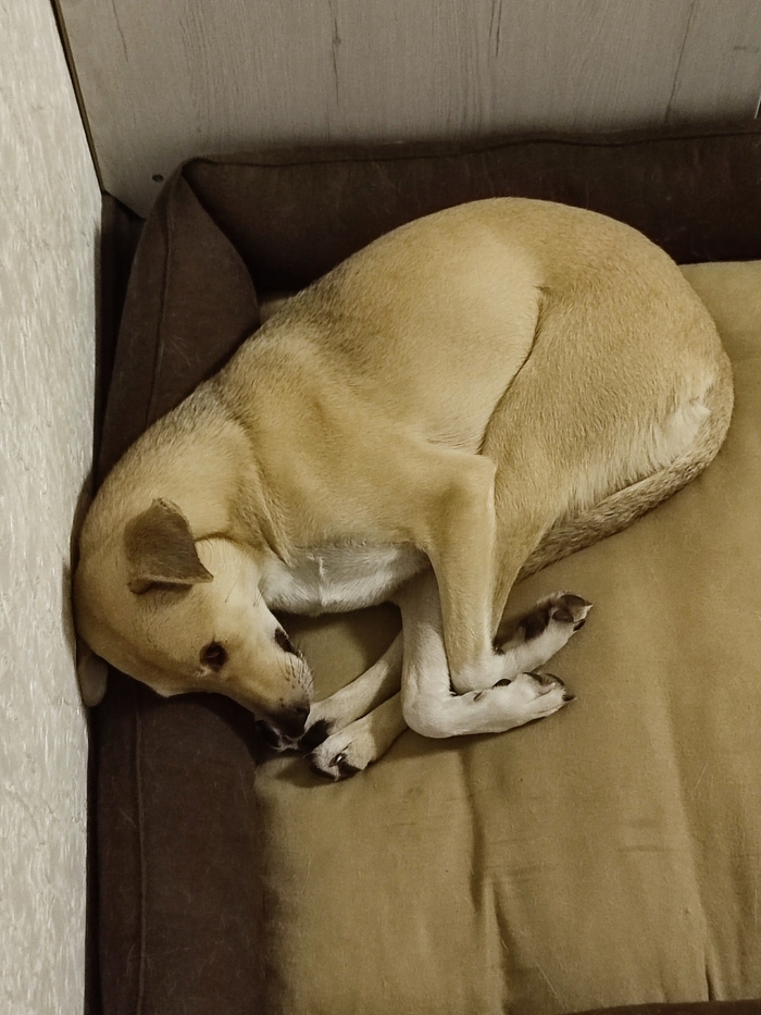 ����� �� ���� ������� ���� ���� - ������