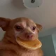 ����� ����� ������ ���� �����������