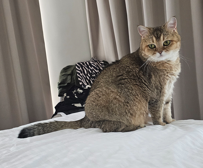 ������ ���� ������� ����