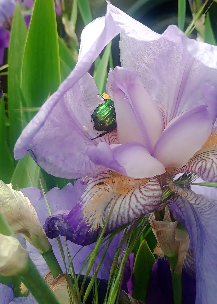 ����� �� ���� ������� ���� 2025 ����