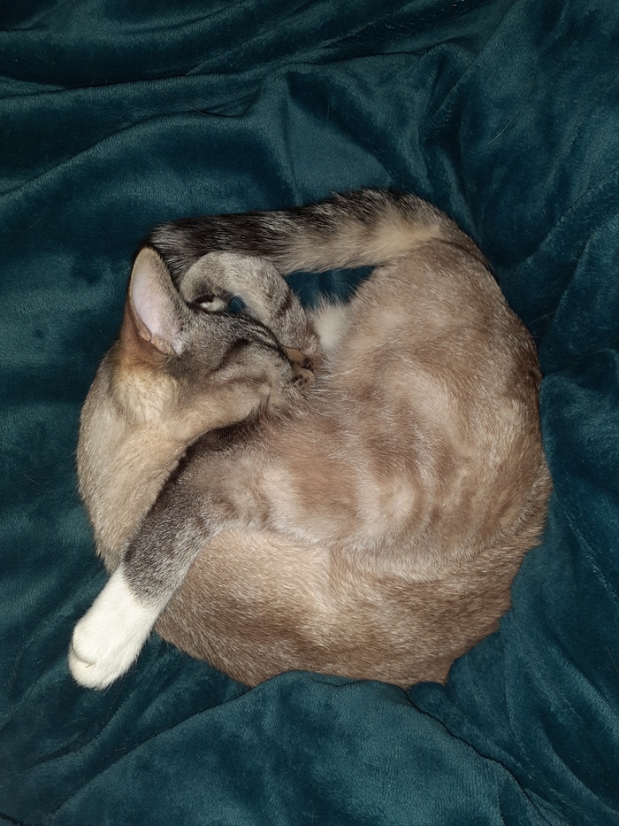 ����� �� ���� ���� ������ ���������� ����