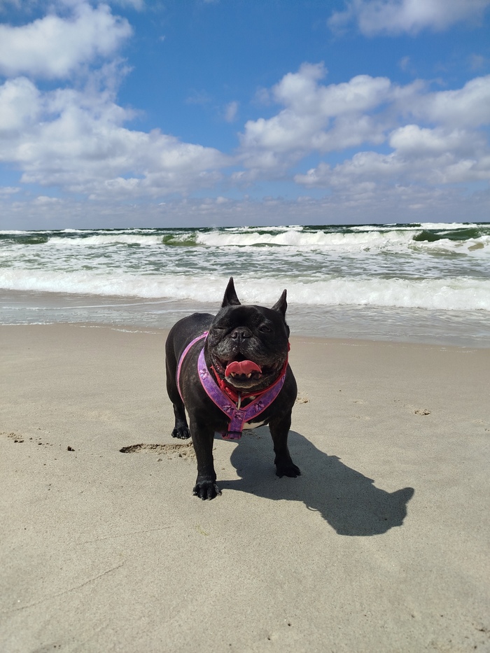 ��� ������ ���������� ������