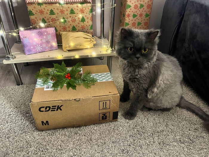 ������������� ��������� - �������� ������� ��������!