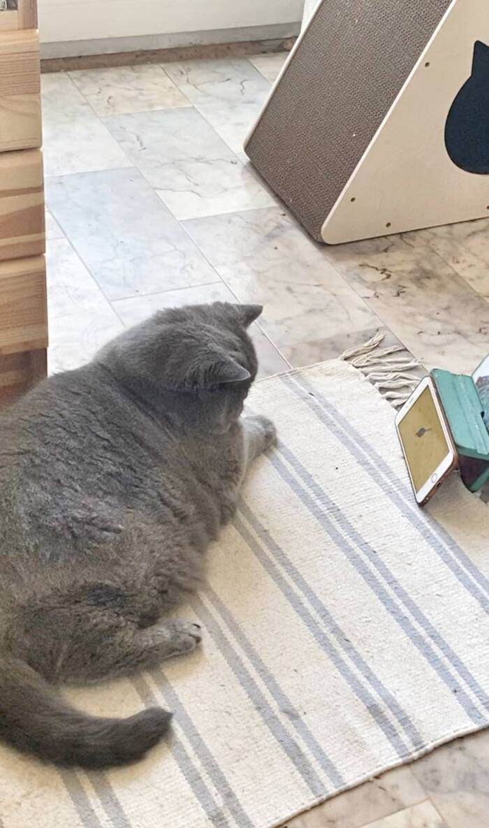 ������������ � �������